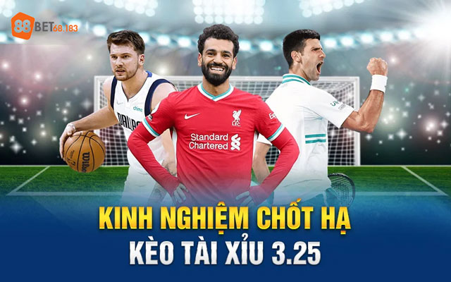 Kinh nghiệm cược tài xỉu 3 1/4